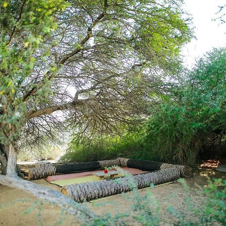 Negev Camel Ranch Villa Dimona Exterior photo