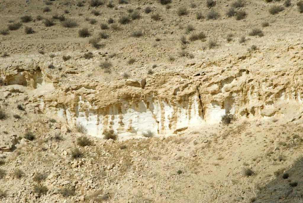 Negev Camel Ranch Villa Dimona Exterior photo