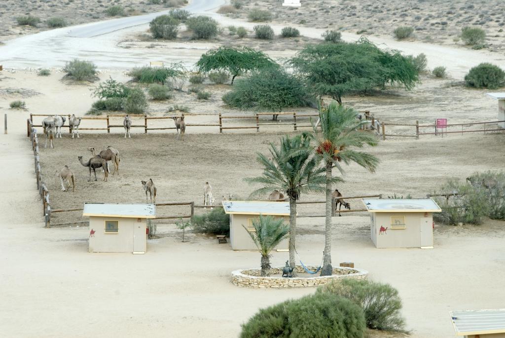 Negev Camel Ranch Villa Dimona Exterior photo