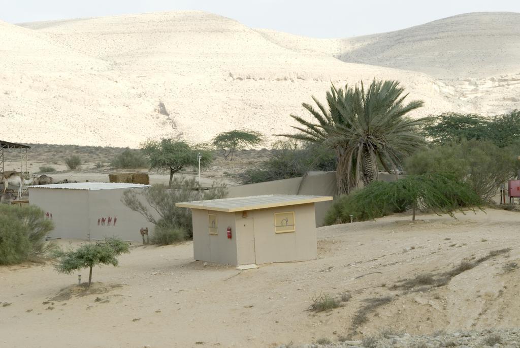 Negev Camel Ranch Villa Dimona Exterior photo