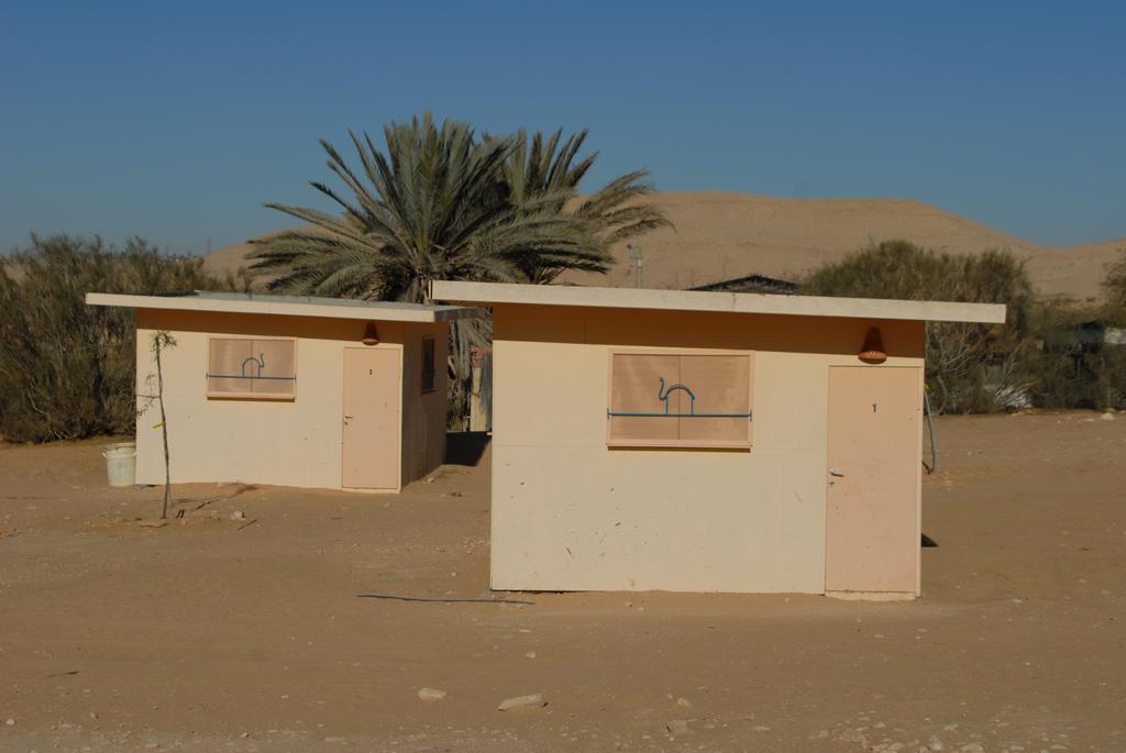 Negev Camel Ranch Villa Dimona Exterior photo