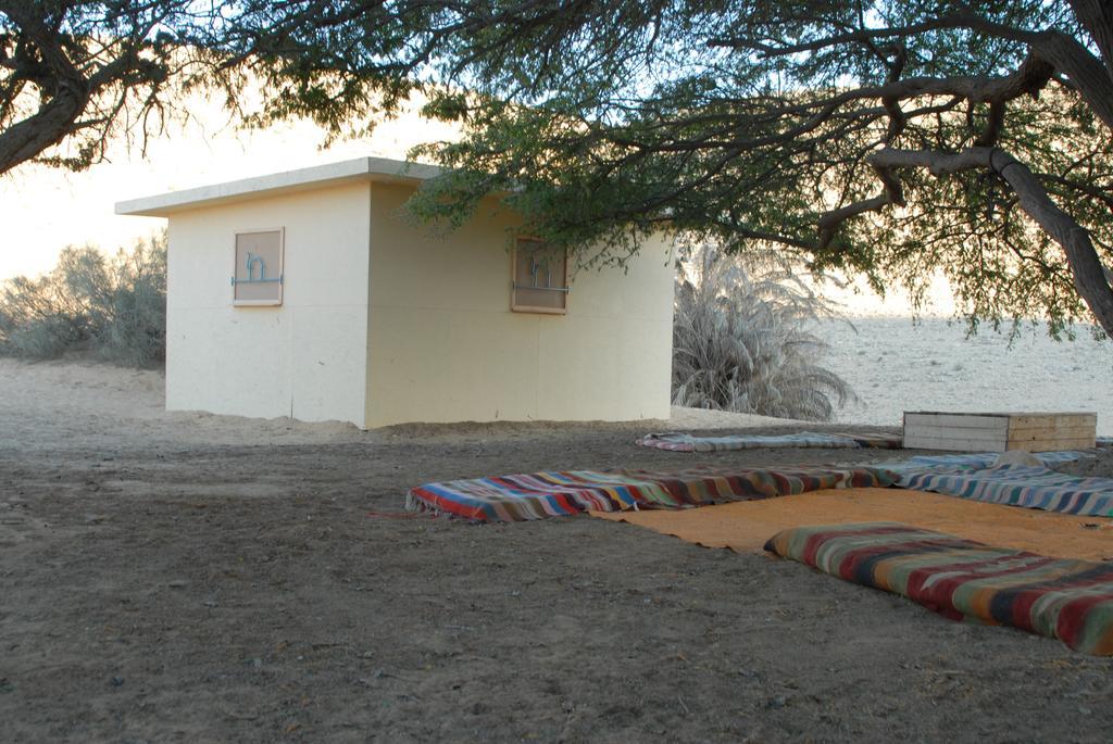 Negev Camel Ranch Villa Dimona Exterior photo
