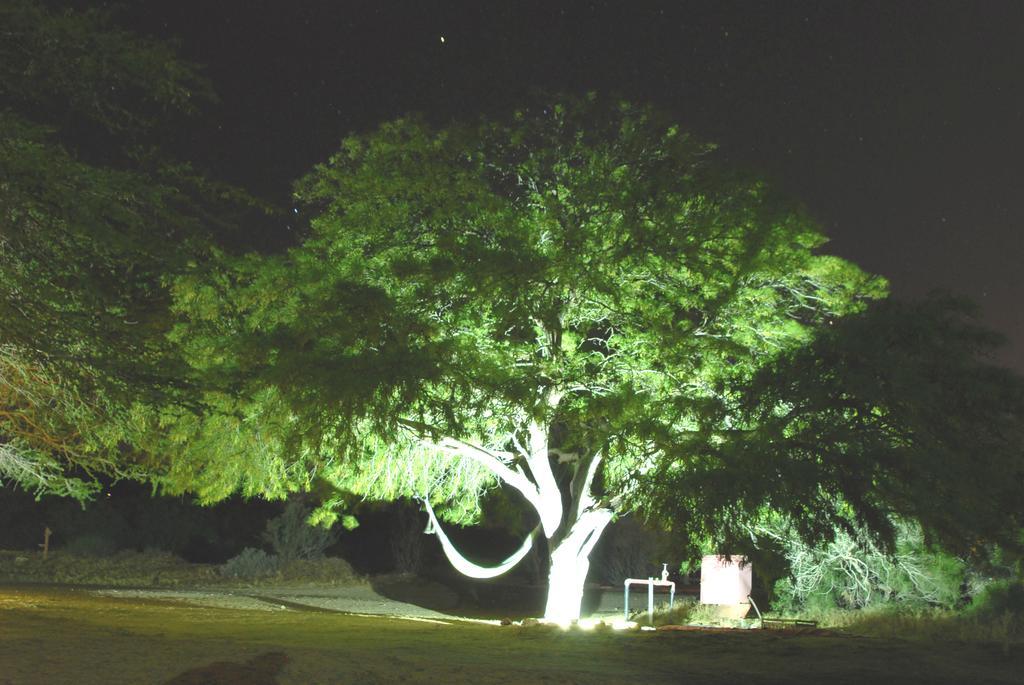 Negev Camel Ranch Villa Dimona Exterior photo