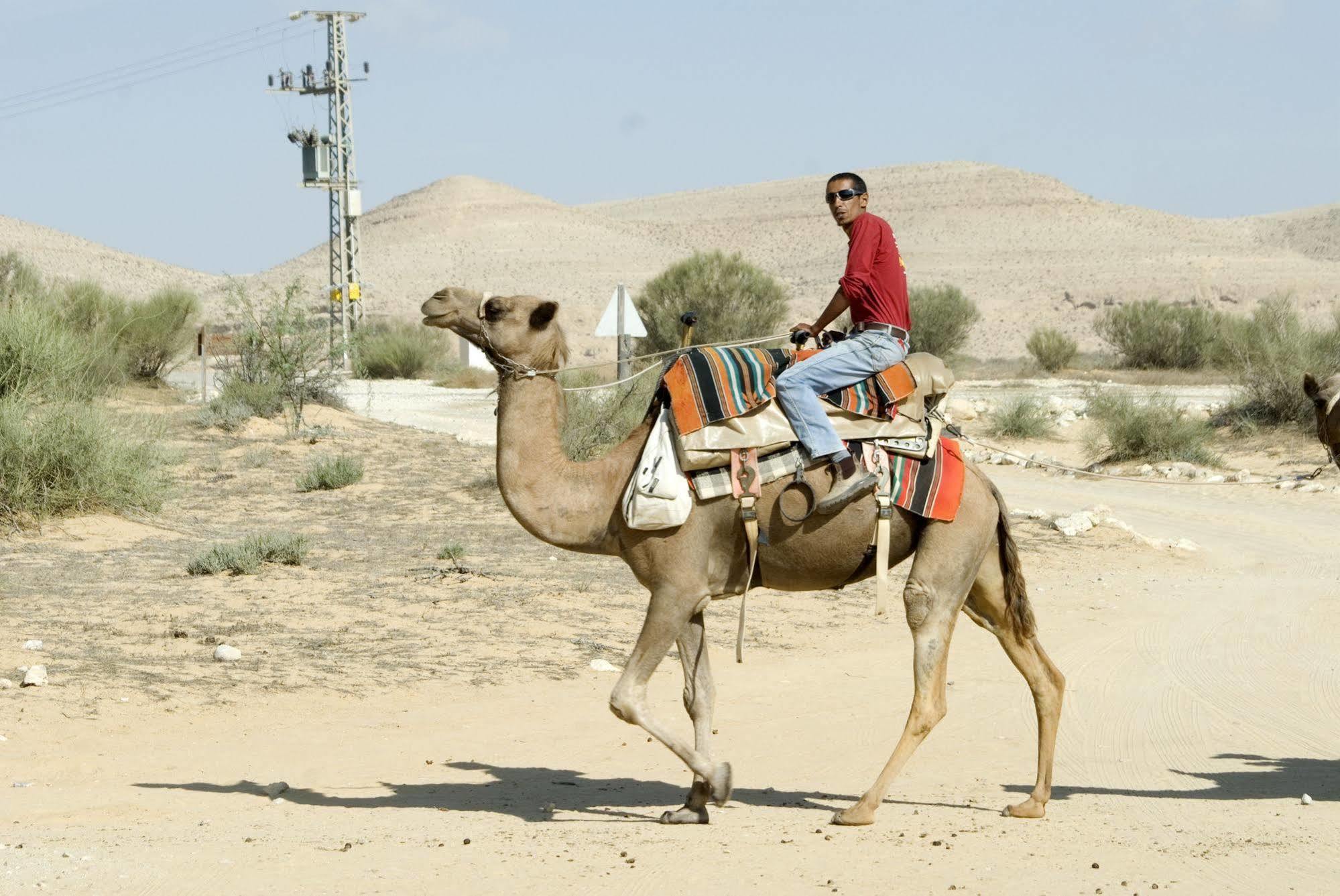 Negev Camel Ranch Villa Dimona Exterior photo