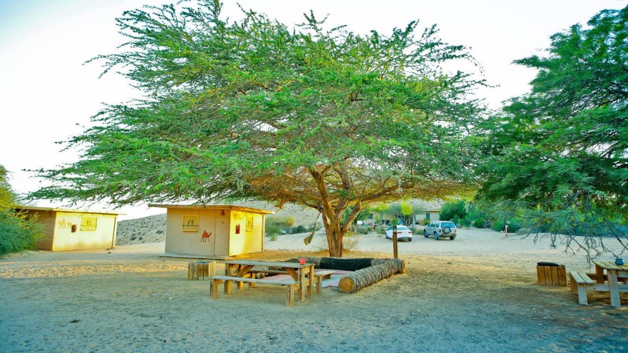 Negev Camel Ranch Villa Dimona Exterior photo